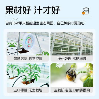 DU'S杜氏NFC番茄汁100%鲜榨果蔬汁 0蔗糖0添加 270ml*6瓶 礼盒装 /水饮冲调 /饮料 /果蔬汁/饮料 商品图4