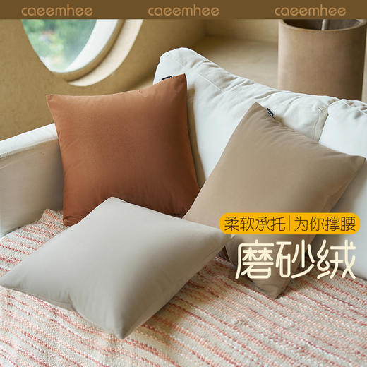 卡益抱枕KBY25002 商品图0