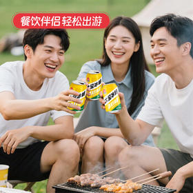 大窑凤梨味果汁汽水碳酸饮料易拉罐330mL*24罐冰畅整箱 /水饮冲调 /饮料 /碳酸饮料