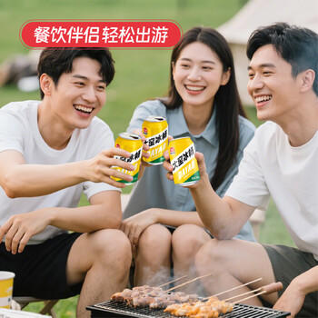 大窑凤梨味果汁汽水碳酸饮料易拉罐330mL*24罐冰畅整箱 /水饮冲调 /饮料 /碳酸饮料 商品图0