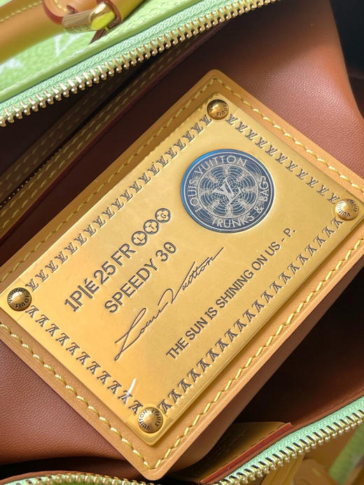 夏季特惠💰1580 原单LV M14064 尺寸：30×21×17cm SPEEDY P9 全皮枕头包 变码芯片 商品图8