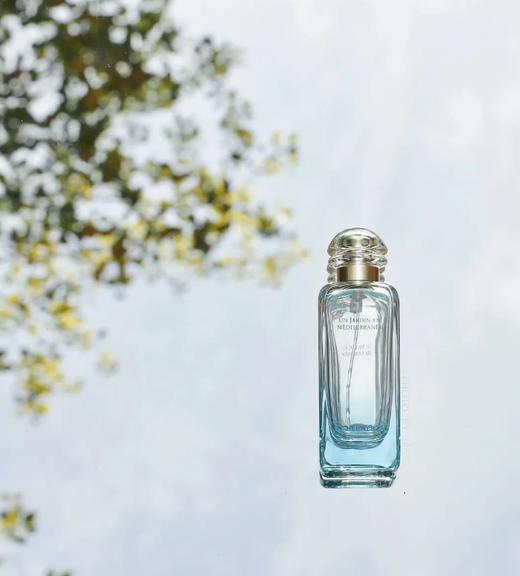 【香水分装--爱马仕花园系列】【满2包邮】一把拥有众多香型  每日都是选妃日常  香气是我构建秩序感的无形边界 商品图4