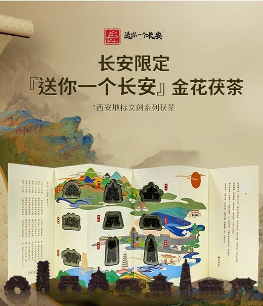 【长安限定地标9景】泾阳茯茶18g 金花黑茶 商品图0