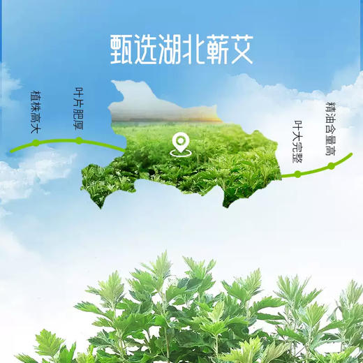 安馨诚品婴儿艾草泡澡露185g 商品图3