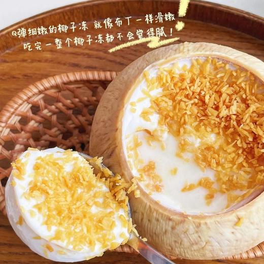【斌哥优选】椰皇椰子冻。0香精，0色素，0防腐。15天保质期。全国顺丰包邮 配黄金椰粒，独立包装勺子！ 商品图0