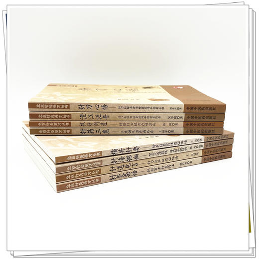 【全8册】北京针灸英才丛书全集 针灸杂悟 澄江泛舟 针药三焦 针海探幽 针道卮言 针刀心悟 执针问道 橘井针要 中国中医药出版社 商品图2