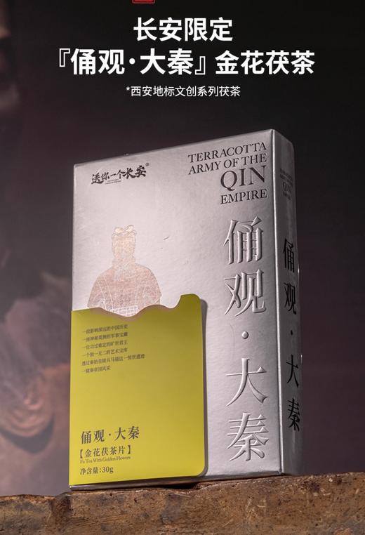 【长安限定地标9景】泾阳茯茶18g 金花黑茶 商品图4