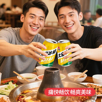 大窑凤梨味果汁汽水碳酸饮料易拉罐330mL*24罐冰畅整箱 /水饮冲调 /饮料 /碳酸饮料 商品图2