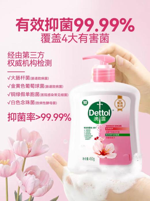 滴露洗手液滋润+倍护450g+450g 商品图2