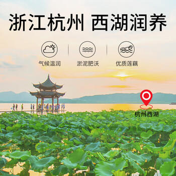 热纯堂古法西湖纯藕粉600g/罐杭州正宗特产无添加蔗糖手工原味莲耦粉 /水饮冲调 /冲饮谷物 /果蔬粉 商品图0