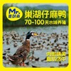 【顺丰包邮】品牌超值福利买1送1，2只到手138，蛋鲜森巢湖麻鸭全期散养，肉嫩味美，肉质紧实老鸭煲汤仔鸭爆炒趁着活动好价多囤几只顺丰京东基地直邮 商品缩略图9