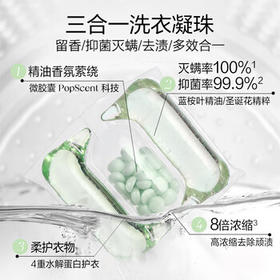 绽家洗衣凝珠忍冬12g*23+袋装12g*20颗三腔抑菌浓缩洗衣液持久留香 /家庭清洁/纸品 /衣物清洁 /洗衣凝珠