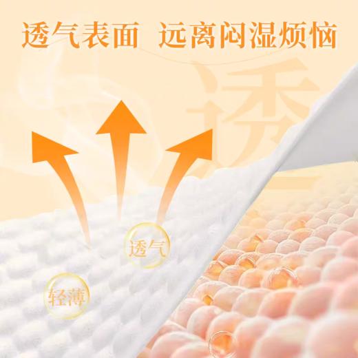 花王乐而雅S系列超薄卫生巾(护垫/日用17cm) 商品图2