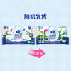 维达旗舰店山茶花芦荟湿厕纸80片厕纸湿纸巾 商品缩略图1