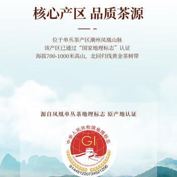 宋凰乌龙茶经典口粮潮州凤凰单丛单枞蜜兰香特级100g中火罐装茶叶送礼 /水饮冲调 /茗茶 /乌龙茶 商品图0