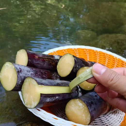 【现砍现发】广西黑皮甘蔗甜度高，汁水超多喔 商品图5