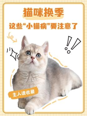猫咪换季指南 | 铲屎官必看，远离 “小猫病”