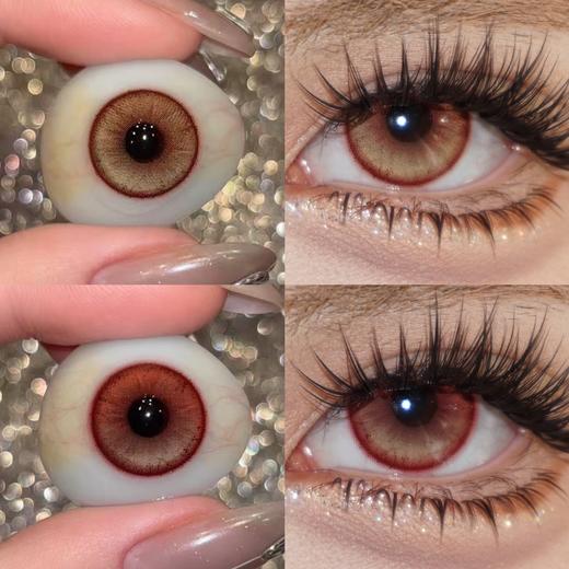 paprikacon日抛 帕尼尼橙光/加利利红酥 14.2mm 日抛无售后！10片装 有同款月抛  商品图1