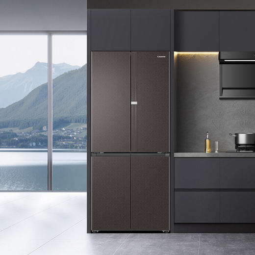 卡萨帝（Casarte）冰箱 BCD-540WGCTDM7WHU1(棕) 商品图1