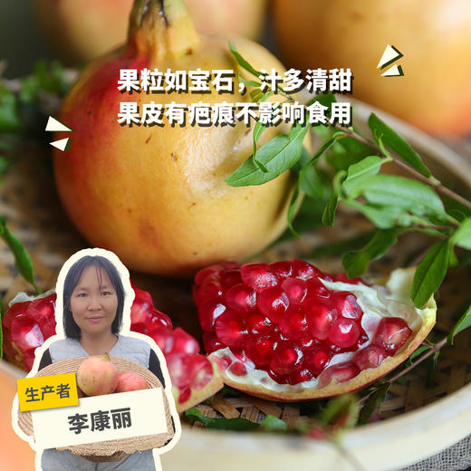 生态楚雄软籽石榴 | 合作生产*Eco-Soft-seeded pomegranate | Coproduction 商品图0