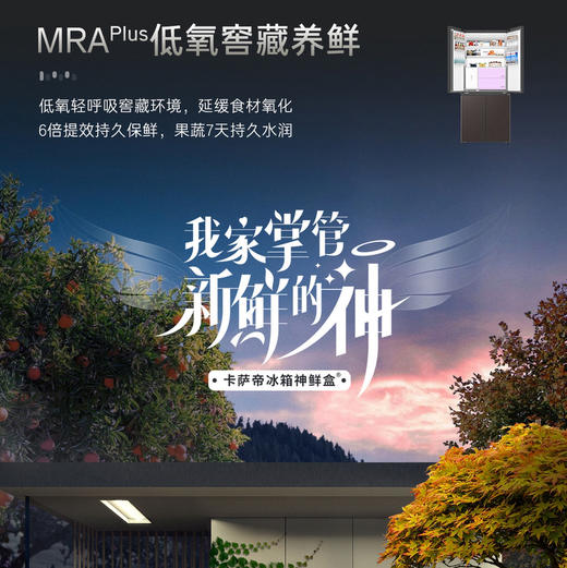 卡萨帝（Casarte）冰箱 BCD-540WGCTDM7WHU1(棕) 商品图3