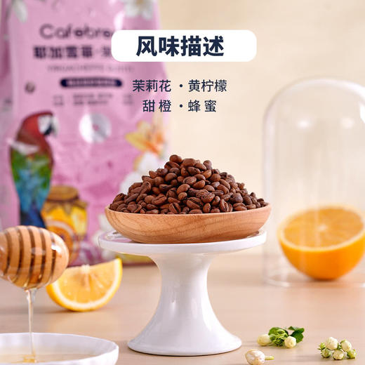 MM 山姆 布蕾克耶加雪菲果丁丁咖啡豆 800g 商品图3