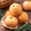 京鲜生 长城羊脂秋月梨 5斤装 超大果5-6粒 单果400g+ 生鲜水果 商品缩略图2