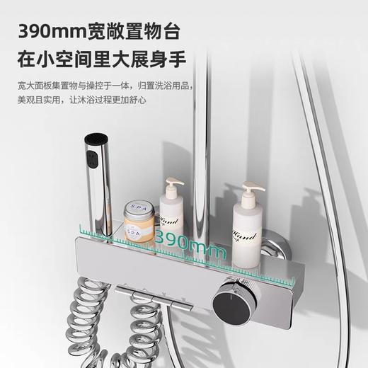 6043 伯尔尼四档按键花洒-电镀（全铜水路） 商品图1