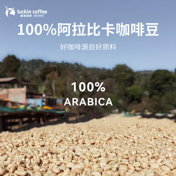 瑞幸咖啡元气弹系列即溶咖啡经典混合装美式拿铁0糖冻干黑咖啡粉2.3g*60颗 /水饮冲调 /咖啡 /冻干咖啡 商品图1