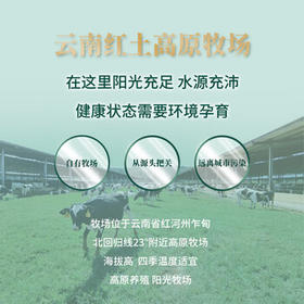 乍甸3.6g有机纯牛奶200g*12盒高原奶高钙学生奶早餐奶礼盒部分12月产 /水饮冲调 /常温奶 /有机牛奶