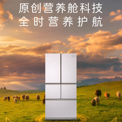 卡萨帝（Casarte）冰箱 BCD-550WLCFPA4ZFU1 商品图1