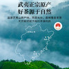 鸿韵清新武夷岩茶特级肉桂正岩乌龙茶叶礼盒25新茶节日送礼小泡袋512g /水饮冲调 /茗茶 /乌龙茶 商品缩略图0