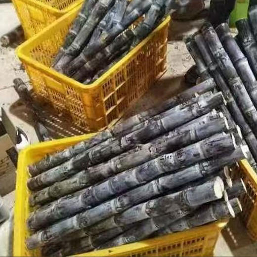 【现砍现发】广西黑皮甘蔗甜度高，汁水超多喔 商品图1
