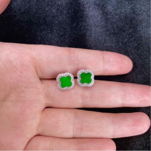 DS925翡翠耳钉-翡翠四叶草耳钉约10mm#67A5 商品图0