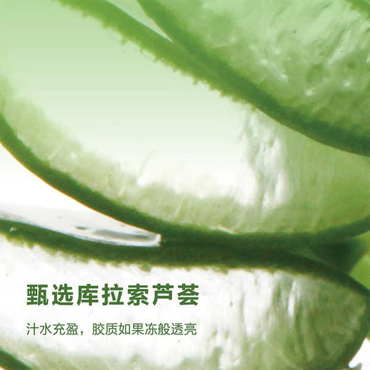 MM 山姆 奈雪的茶 莲雾芦荟 果汁茶饮料 330ml*15 商品图3