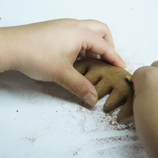 自制中药梳来啦！ 商品图3