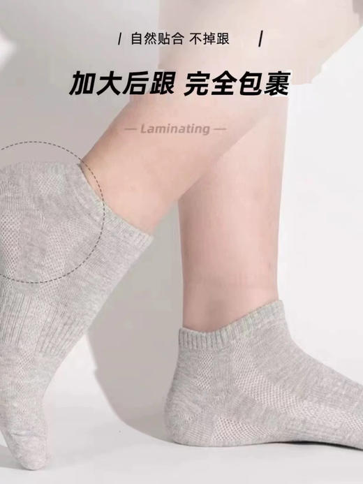 原单船袜（一盒6对装）男女同款 商品图1
