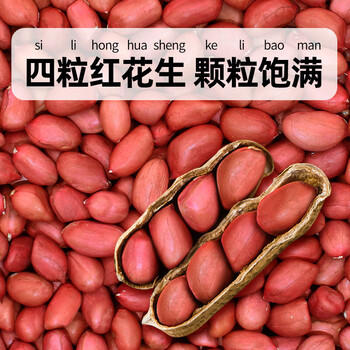 硃碌科有机花生米2.4斤 四粒红花生米 生花生仁 红皮小粒新花生 商品图6