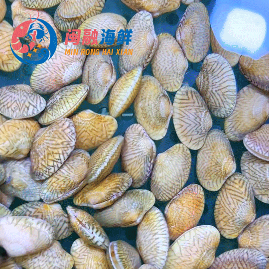 鲜活花甲王 /斤