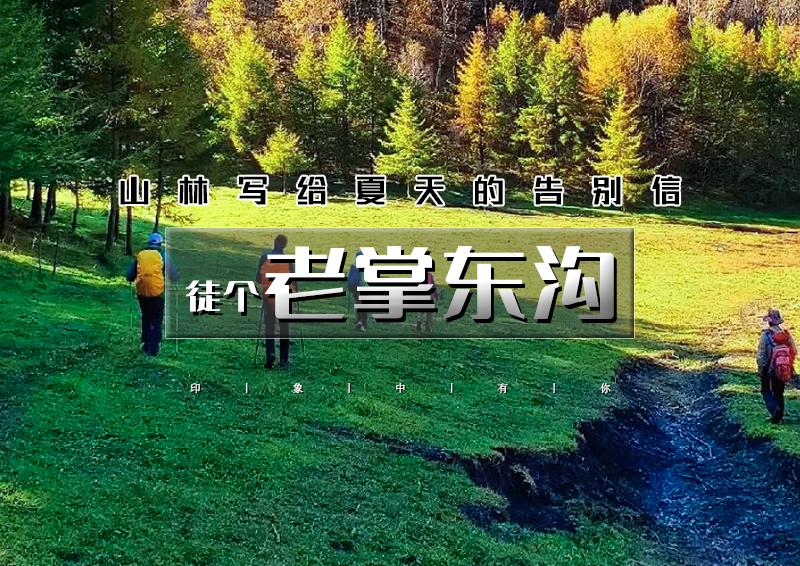 1日｜老掌东沟｜抢先打卡北京周边“小喀纳斯”の高山草甸+松树林+湖泊+漫山遍野花朵<初级> [
