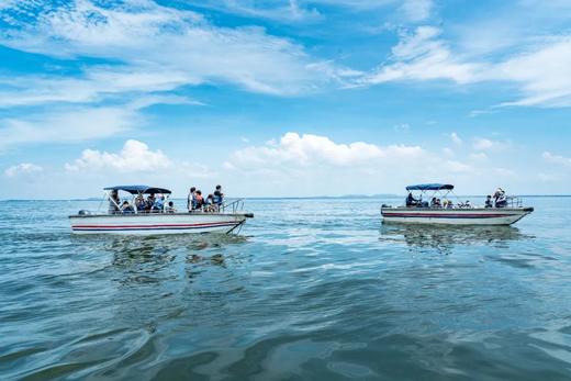 限时早鸟优惠减1000！【寒假·秘境崇左A线·5天4晚】秘境寻踪·解锁达尔文密码！横跨中越边境线，追寻中华白海豚，探秘比恐龙还古老的海洋活化石，野外科研濒危石山精灵… 商品图1