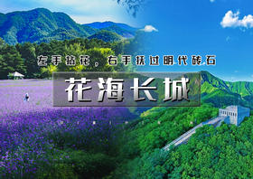 1日｜花海长城｜四季花海&九眼楼长城の花开时节-百花齐放-争齐斗艳-万里长城第一楼