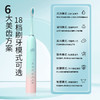 【全套组合💖18档全自动电动牙刷】软毛充电款全自动金属轴18档电动牙刷 冲牙器 ，杜邦软毛呵护牙龈✨Type-C充电便携出行，牙医推荐净白神器！ 商品缩略图1