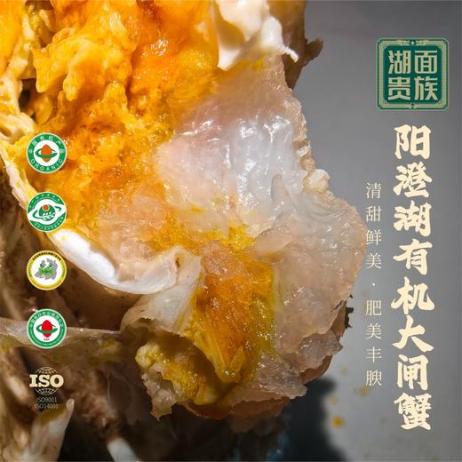 湖面贵族  大闸蟹598型  公蟹3.0两*3只+母蟹2.5两*3只 商品图4