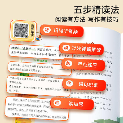 【教材同步】快乐读书吧 小学一至六年级 课本推荐课外阅读 25年秋季新版 商品图3