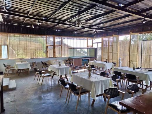 【云南建水云龙山茶庄园基地】 商品图8