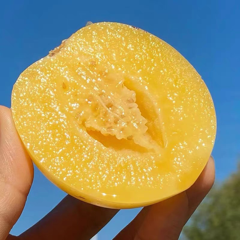 周四取货：【人参果】一份2斤左右，生吃清脆，熟吃香甜！清甜多汁！