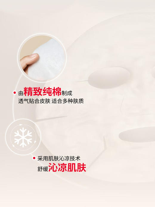 SK-II前男友面膜10片装 商品图2