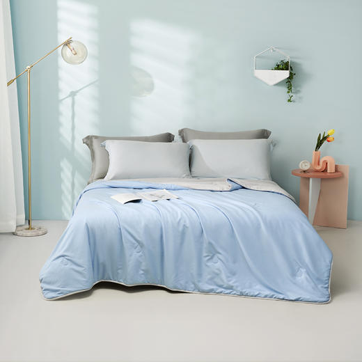 罗莱T 辽安青丝·丝锦A类抗菌蚕丝四季被 蓝色  200×230cm 商品图0