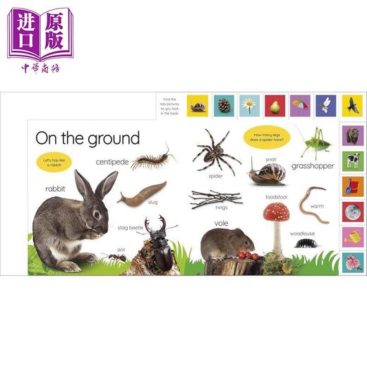 【中商原版】DK启蒙探索自然 My First Nature Lets Go Exploring 英文原版 亲子幼儿纸板书 认知识物图画书 进口童书 0-3岁 商品图2